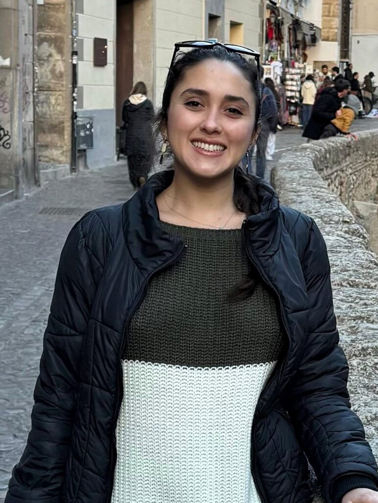 Periodista internacional